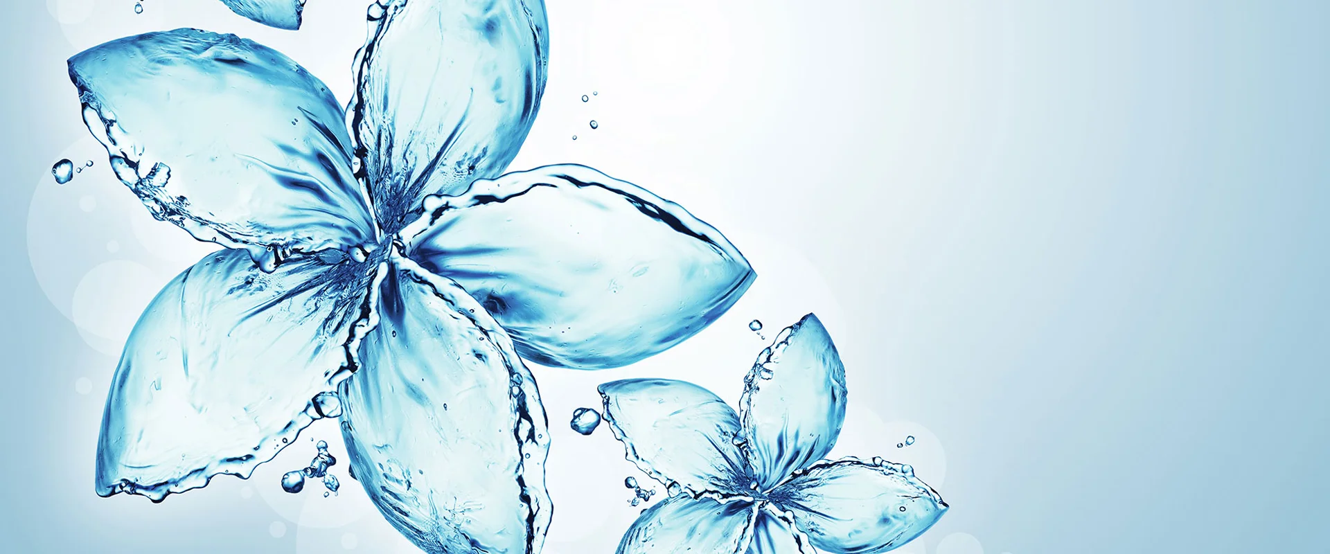 Sedation & Anesthesia